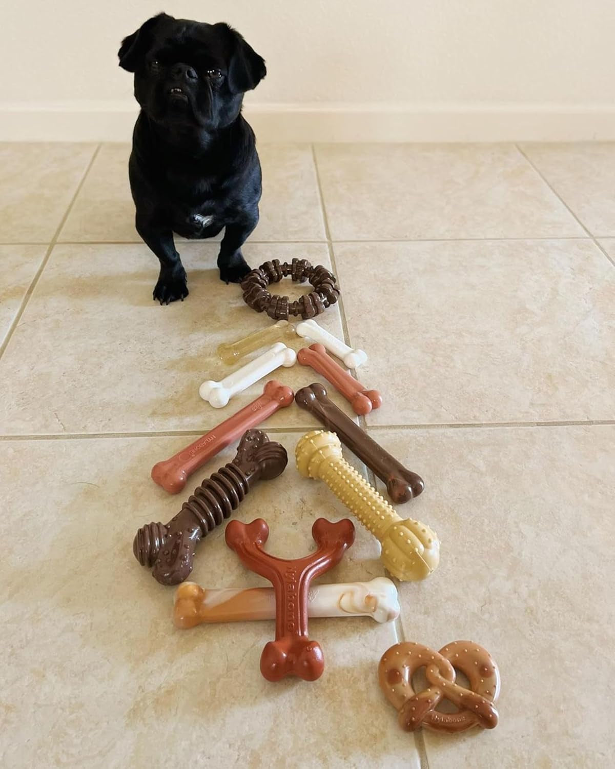 Ergonomic Hold Wishbone Power Chew Toy for Dogs, Dog Toys for Aggressive Chewers, Bison Flavor, Small - up to 25 Ibs, 1 Count