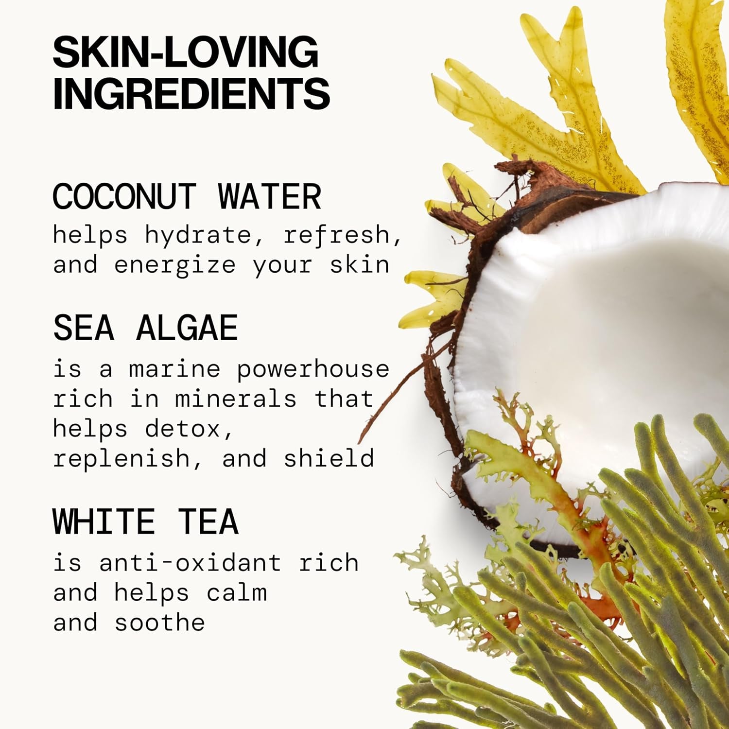 Beauty Sea Foam Face Cleanser, Daily Gentle Foaming Face Wash, with Coconut Water + Sea Algae Complex, Removes Makeup, for Combination and Oily Skin, Vegan and Cruelty Free, Clean Skin Care