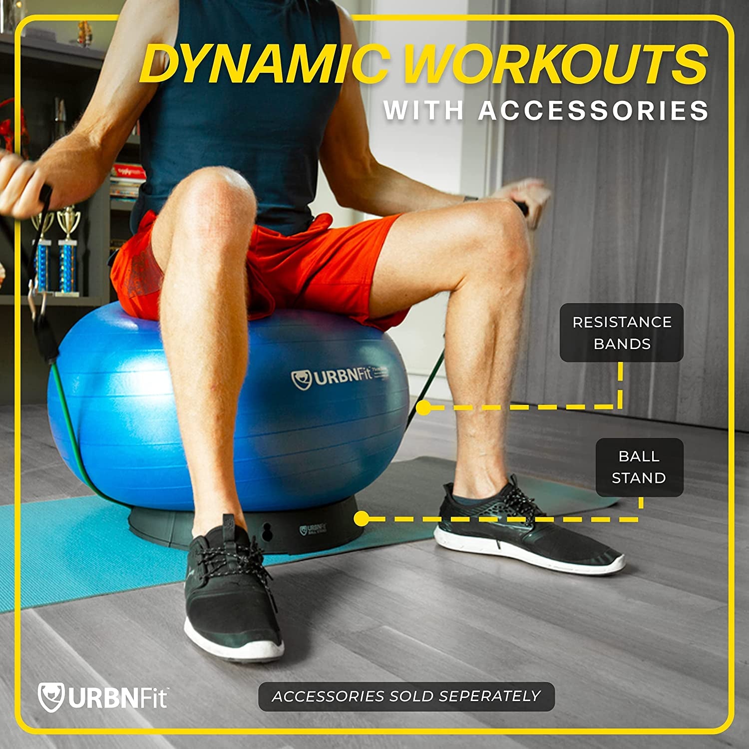 Exercise Ball - Yoga Ball in Multiple Sizes for Workout, Pregnancy, Stability - Anti-Burst Swiss Balance Ball W/Quick Pump - Fitness Ball Chair for Office, Home, Gym