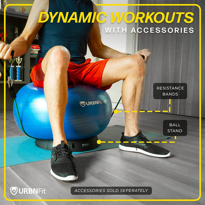Exercise Ball - Yoga Ball in Multiple Sizes for Workout, Pregnancy, Stability - Anti-Burst Swiss Balance Ball W/Quick Pump - Fitness Ball Chair for Office, Home, Gym