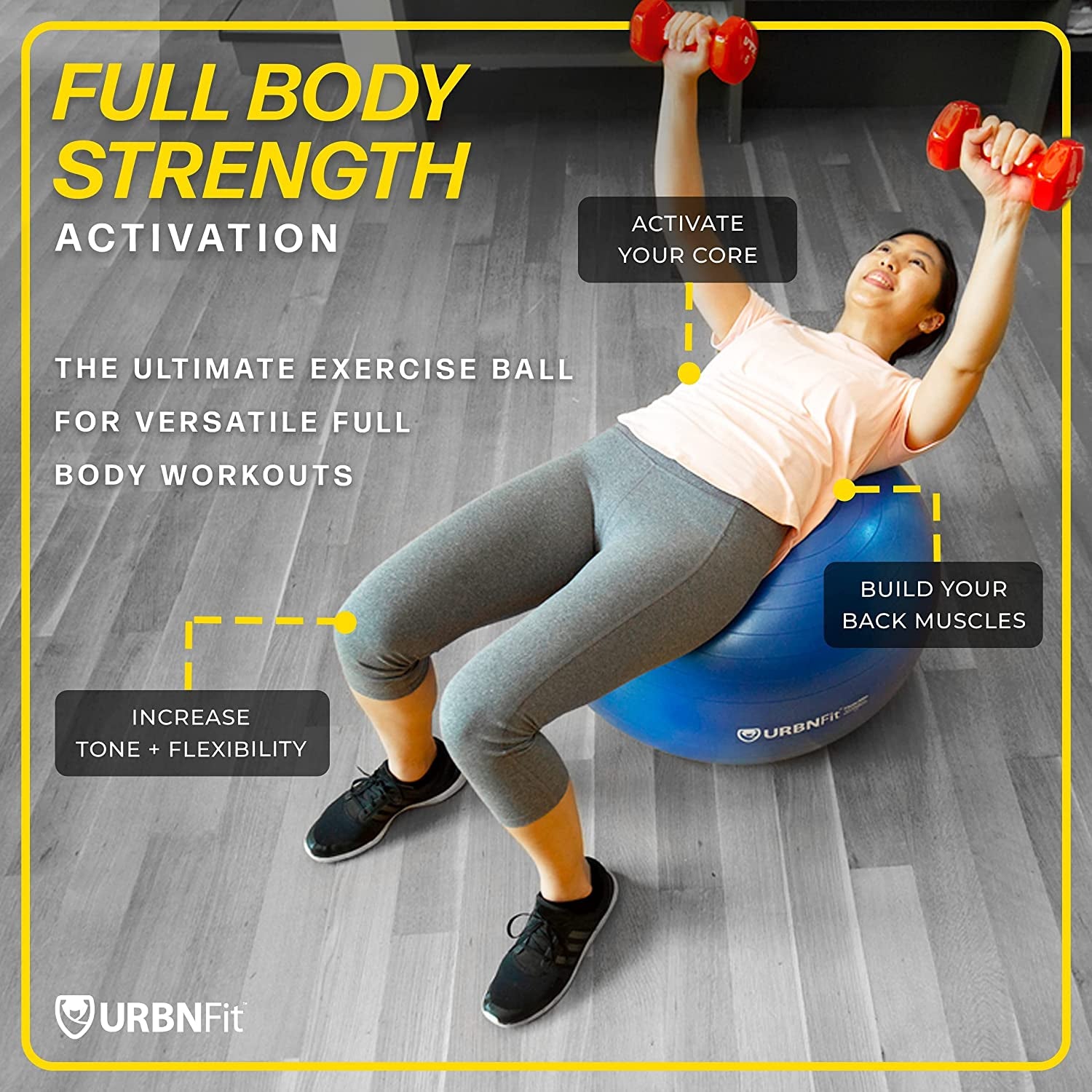Exercise Ball - Yoga Ball in Multiple Sizes for Workout, Pregnancy, Stability - Anti-Burst Swiss Balance Ball W/Quick Pump - Fitness Ball Chair for Office, Home, Gym